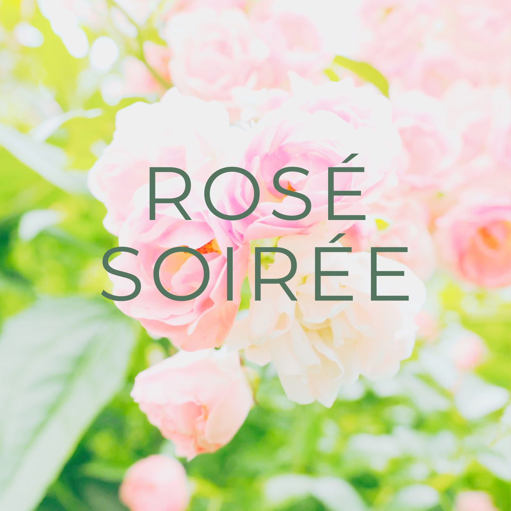 rose soiree (1)